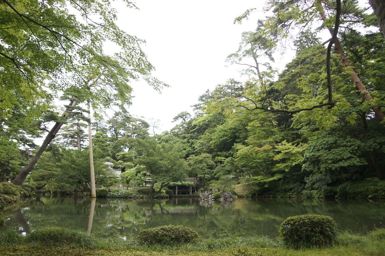 Moody panorama of Kasumigaike Pond under overcast skies with lush tree reflections
