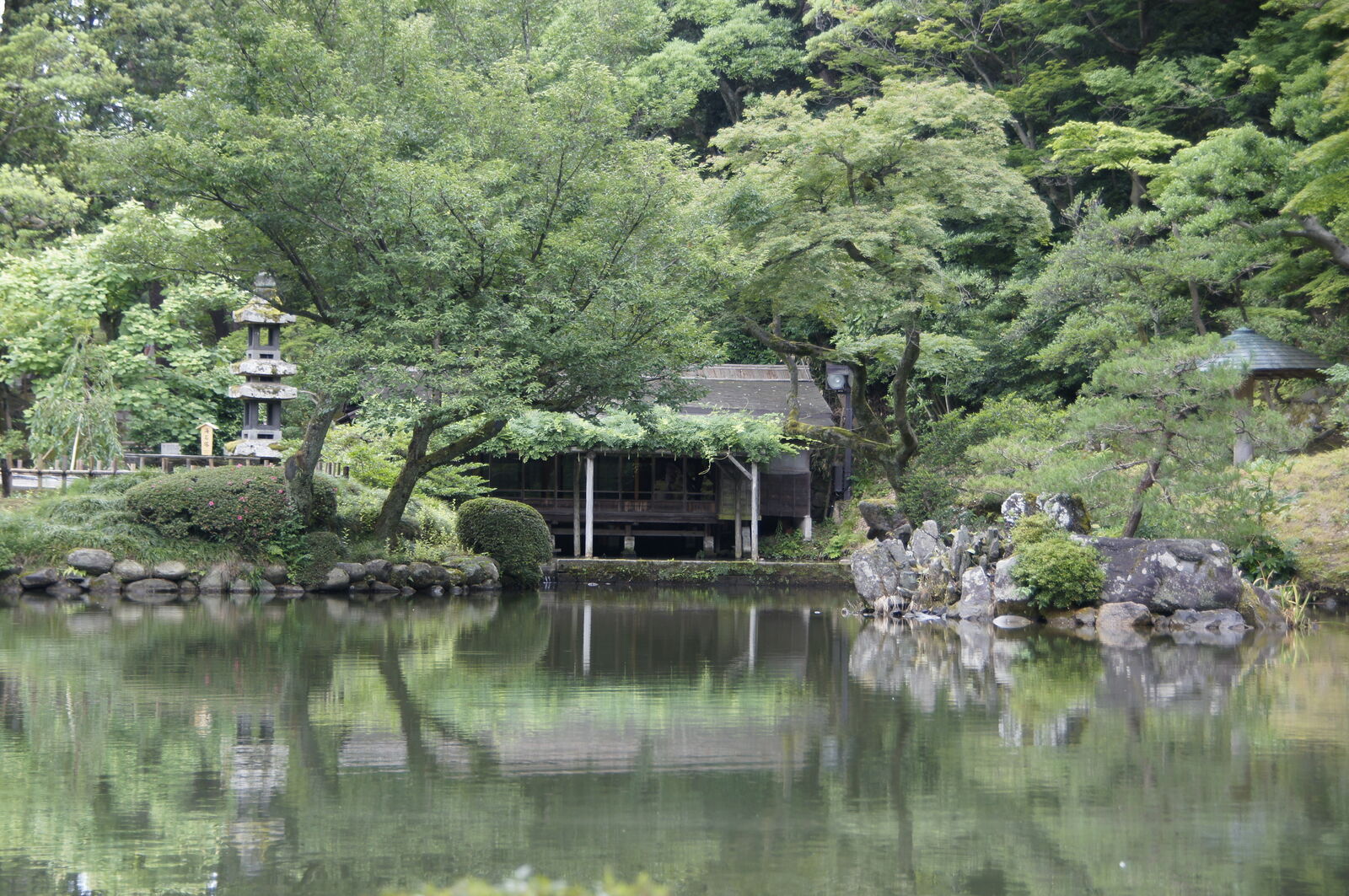 Tea house and Kotoji lantern reflected in the still pond water surrounded by pines