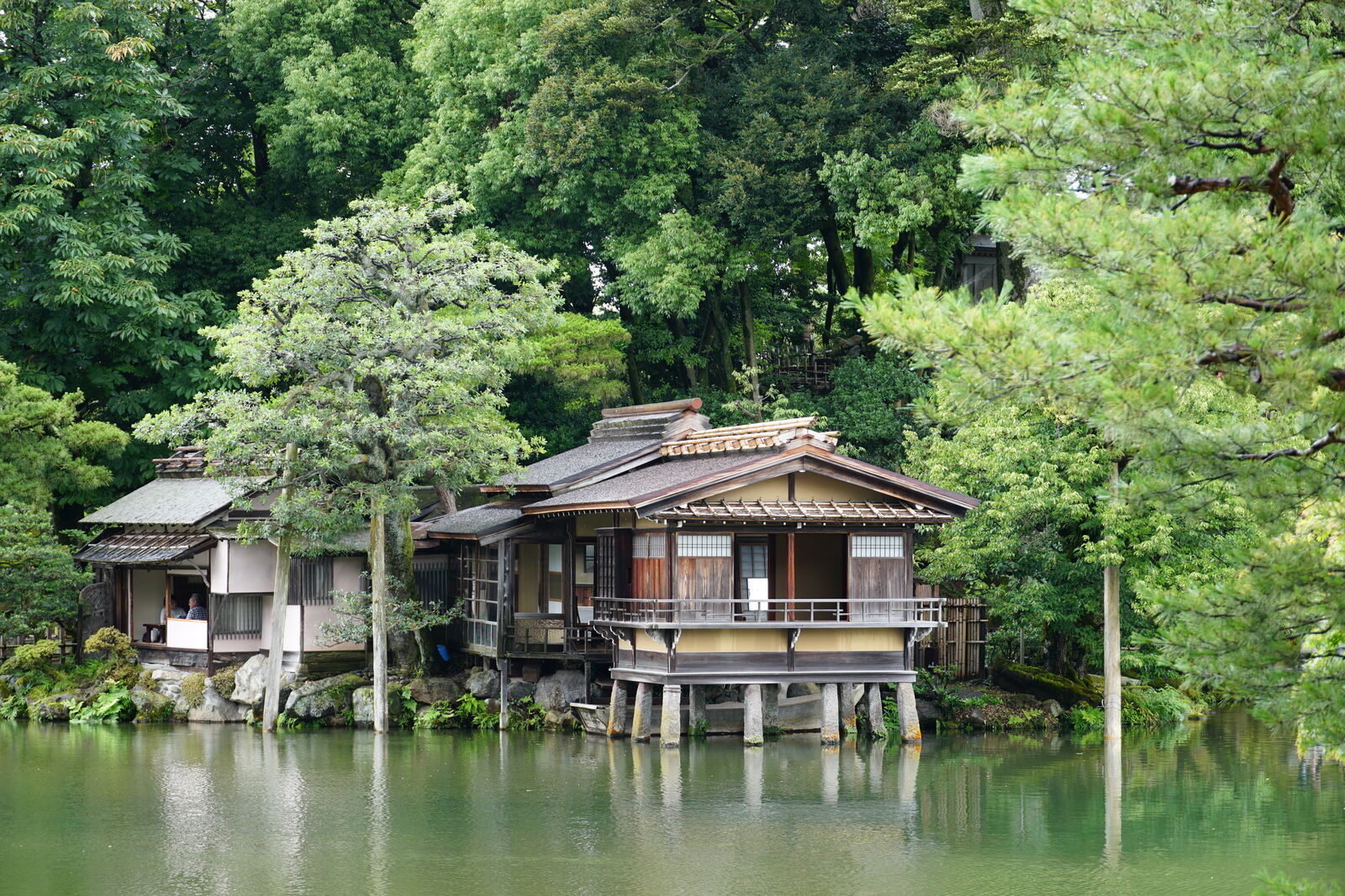 Tea house from a different angle with shaped pines and pond reflections