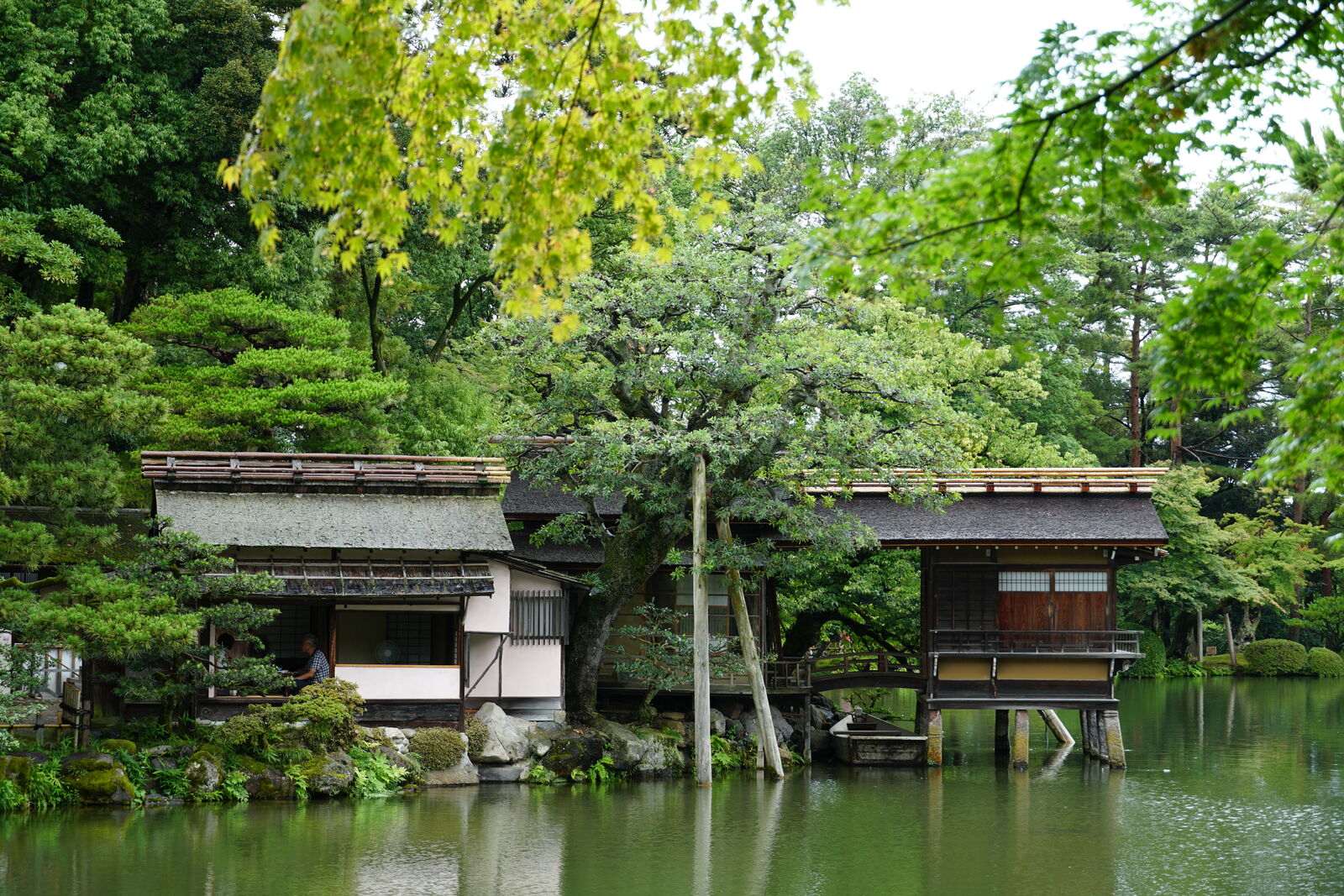 Tea houses and shaped pines seen across Kasumigaike Pond