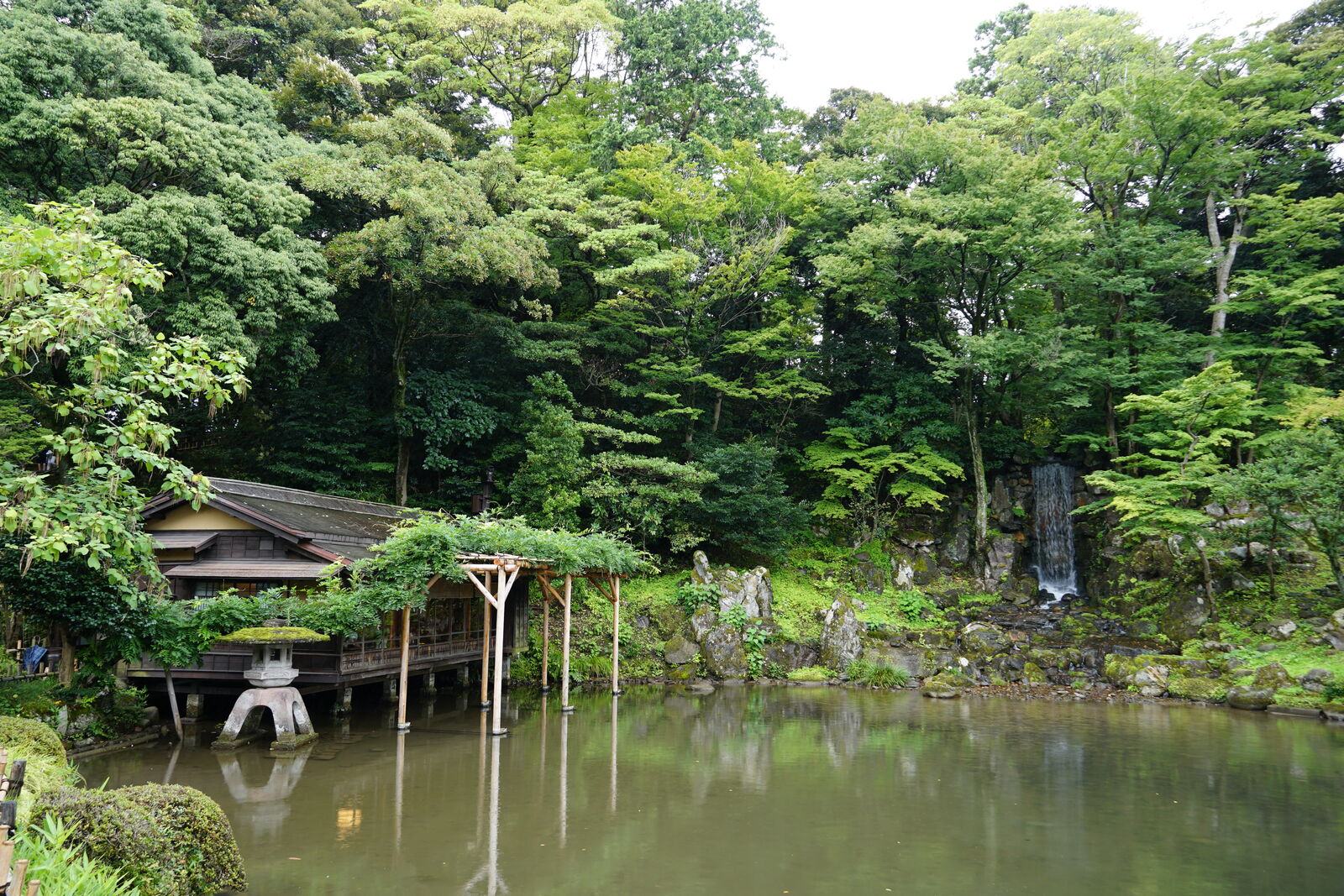 Wide view across the pond showing tea house, waterfall and lush garden layers