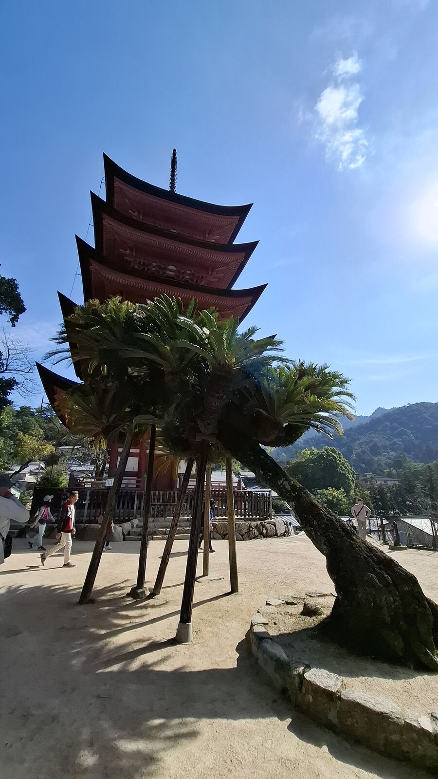 The five-story pagoda of Miyajima rising above the trees, dark tile roofs stacked against blue sky with a palm tree in the foreground