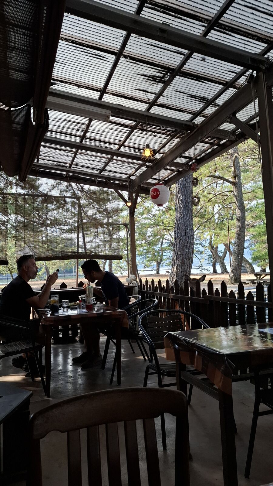 Inside a quiet café on Miyajima, natural light streaming through large windows, wooden furniture under old trees, a peaceful retreat from the crowds