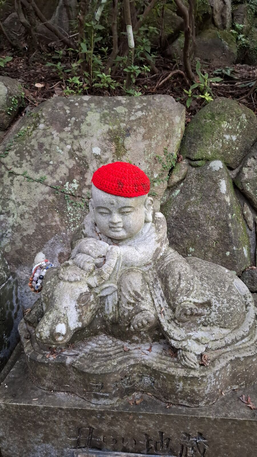 A reclining Buddhist figure with a red knitted bib, the peaceful expression carved in grey stone, tree roots growing around the base