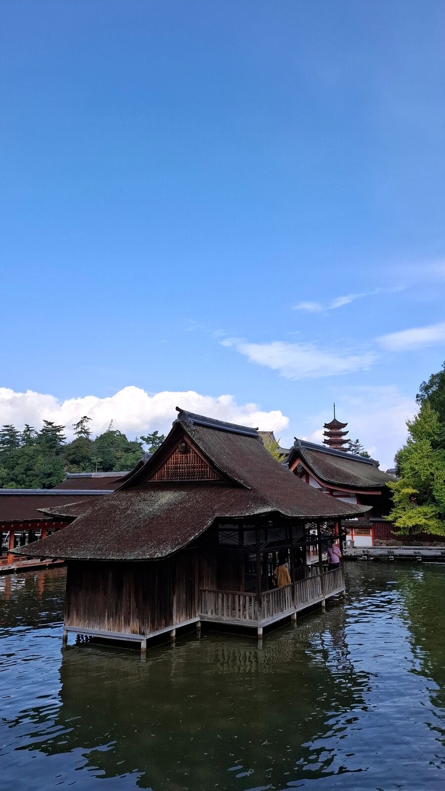The Noh stage of Itsukushima Shrine appearing to float on the water at high tide, the five-story pagoda visible through the pines behind it