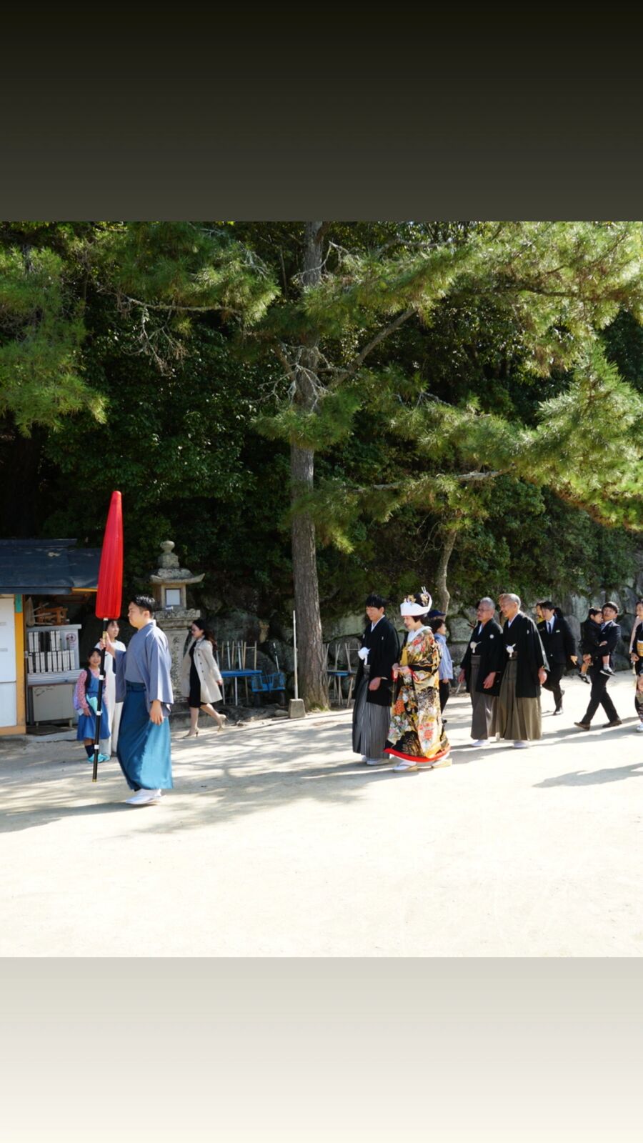 A Shinto wedding procession at the shrine: bride in white headdress and traditional kimono, groom in dark formal wear, attendant carrying a red parasol, the wedding party walking through the shrine grounds