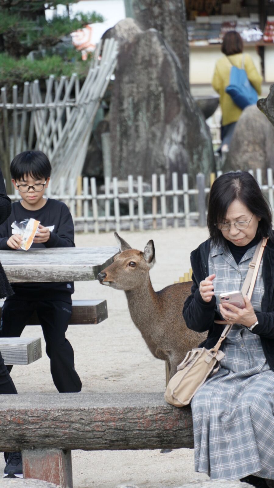 A deer sitting casually at a stone bench next to tourists eating their lunch, completely at ease among the visitors