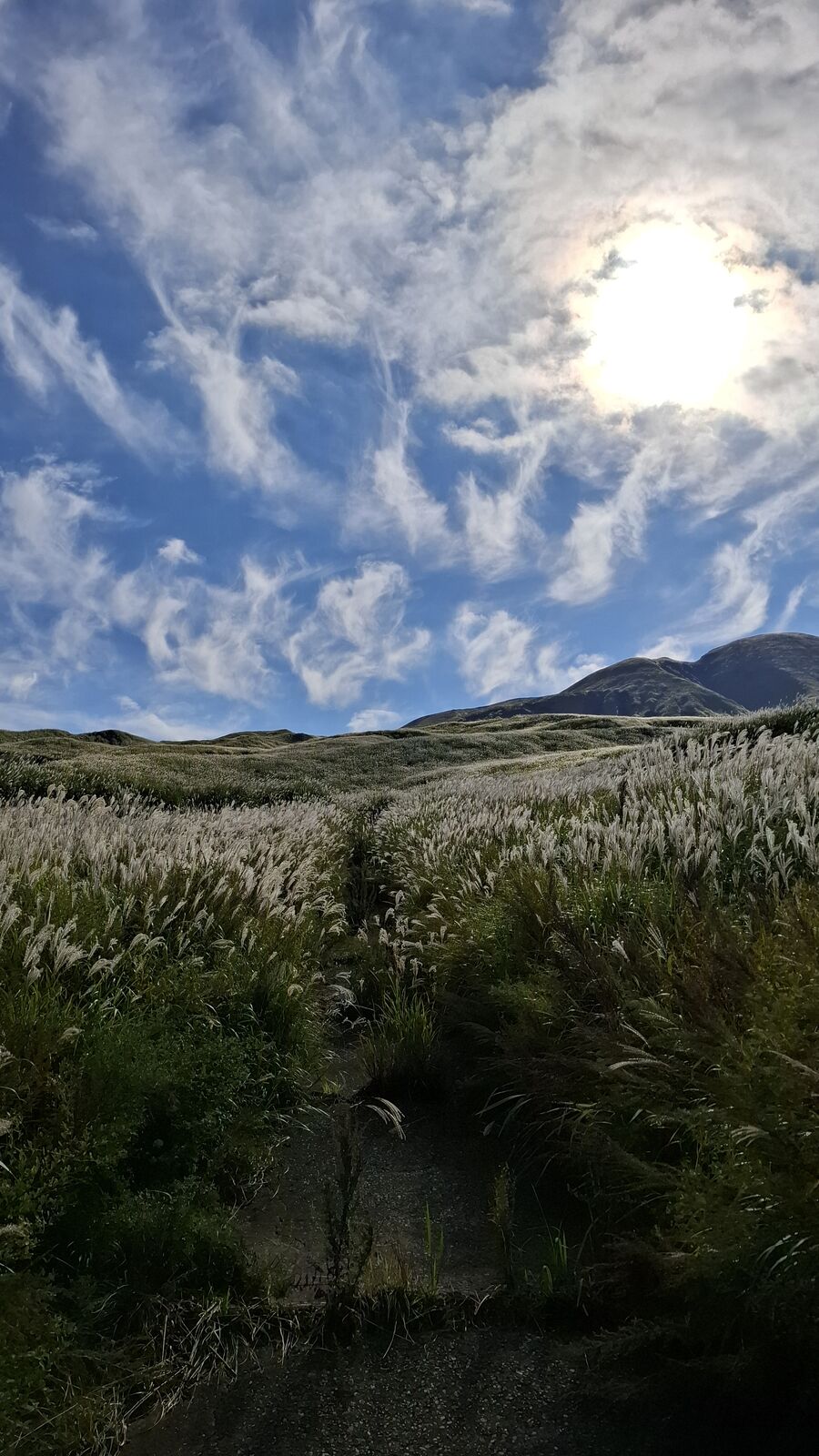 The green and golden grasslands of the caldera's western slopes, mountains in the background, the landscape completely transformed from the barren crater area