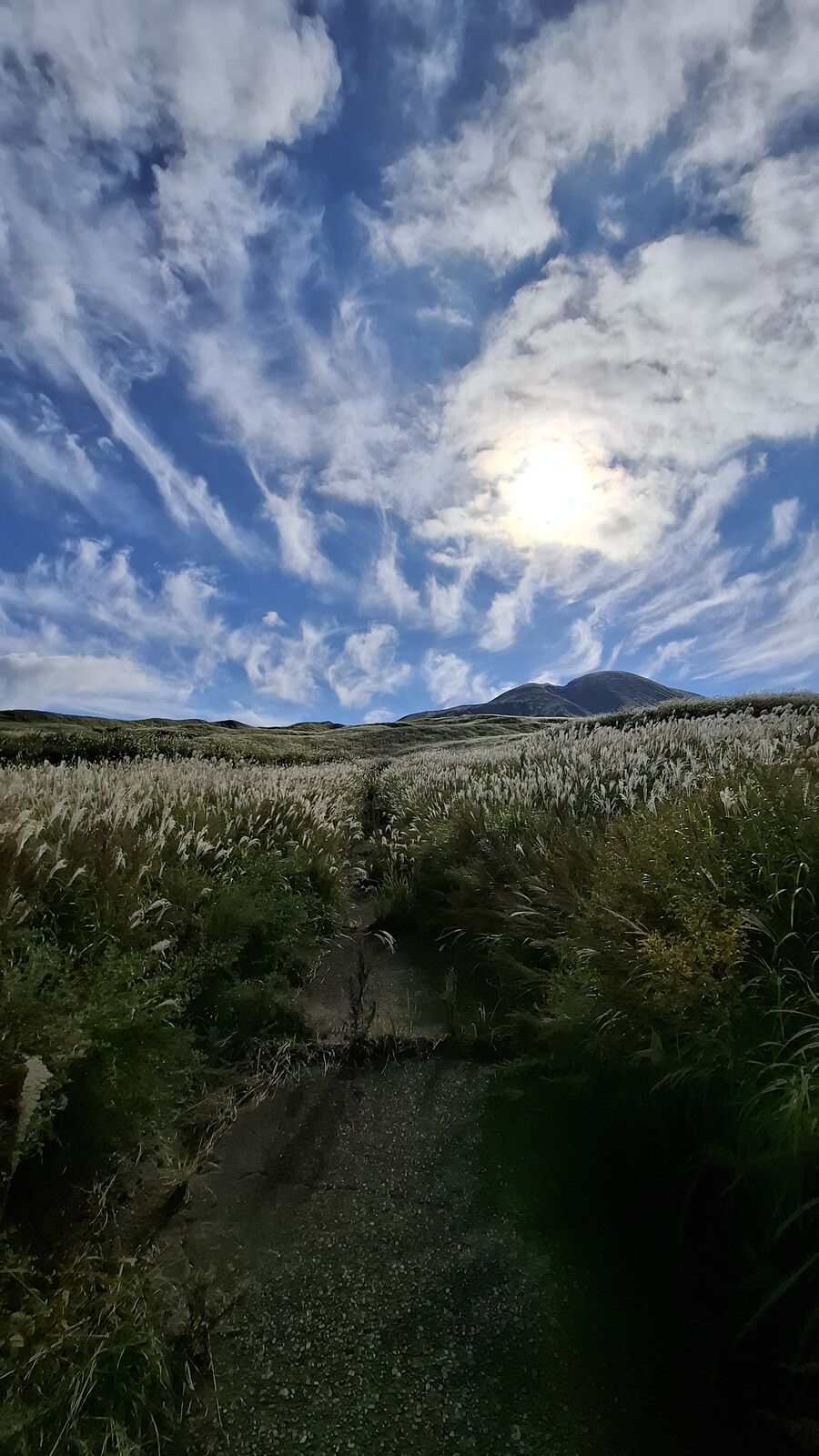 Susuki grass fields stretching toward the caldera mountains, sunlight breaking through clouds, the road cutting through the golden landscape