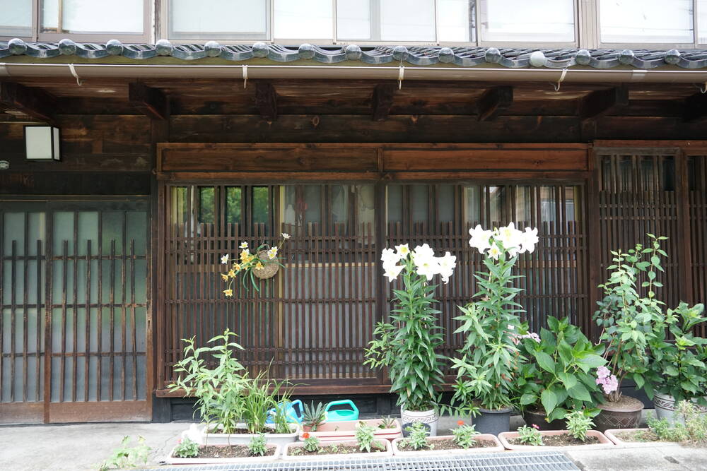 White lilies blooming in front of a traditional wooden house with latticed windows