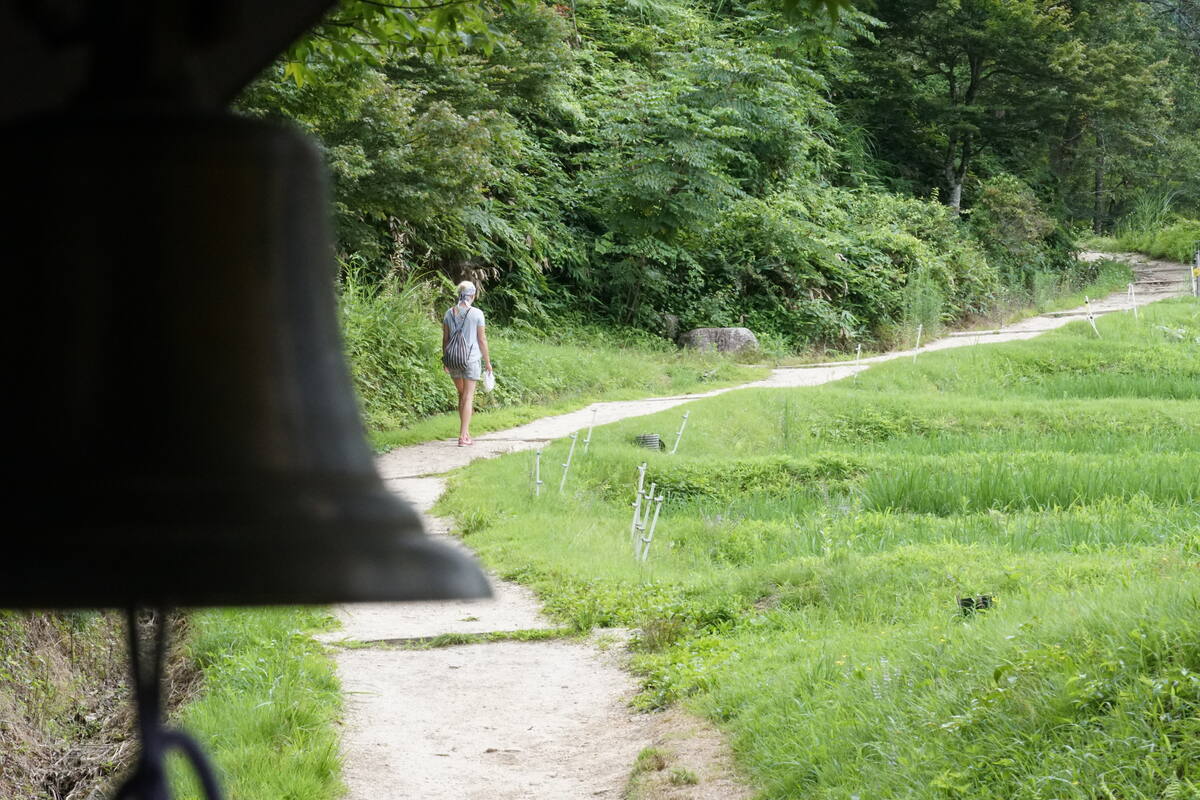 The open Nakasendo trail crossing a verdant meadow with a hiker visible ahead, forested hillsides beyond