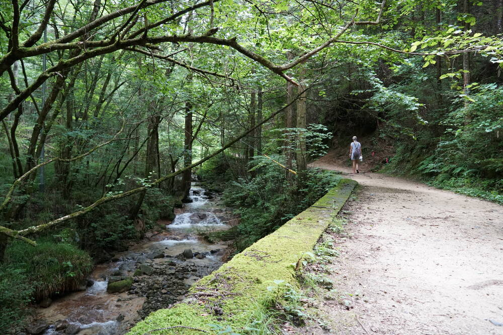 The Nakasendo trail running alongside a mountain stream with moss-covered stone walls