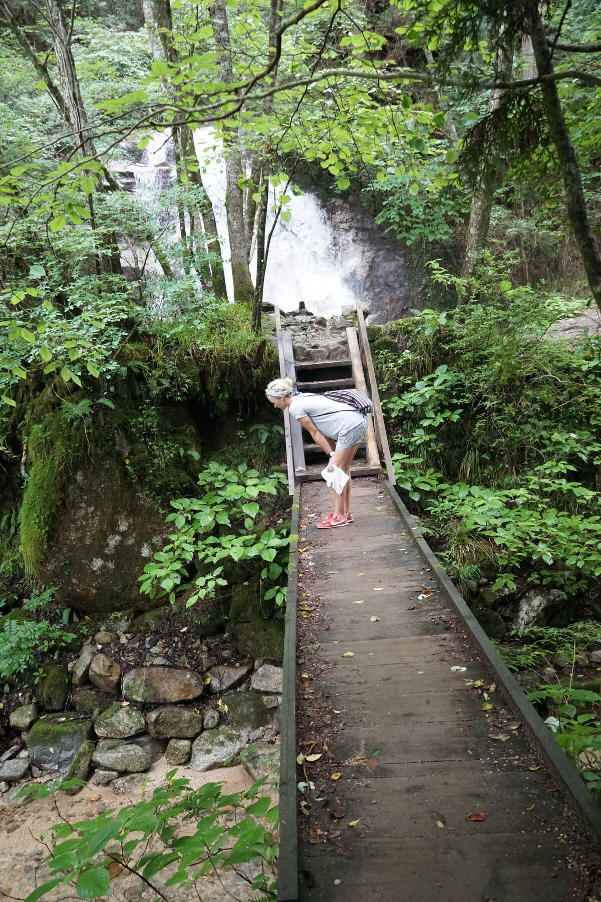 An overgrown forest passage along the Nakasendo trail, walls thick with moss and vegetation creating a tunnel-like effect