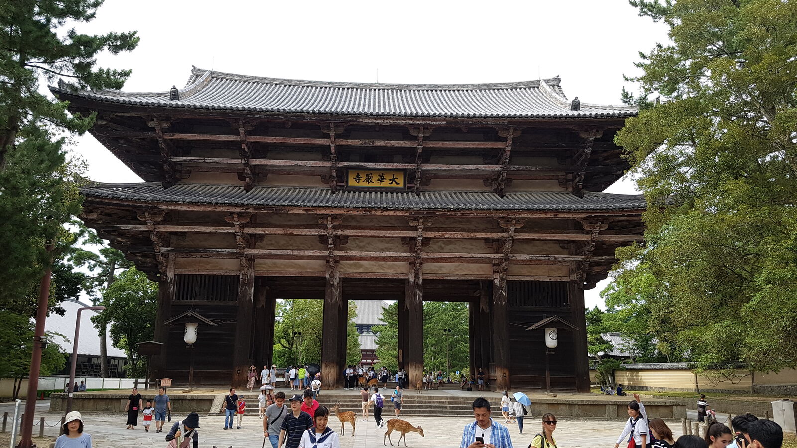 The Nandaimon, Great South Gate of Todai-ji, a massive wooden gate structure with tourists and deer passing through its pillars
