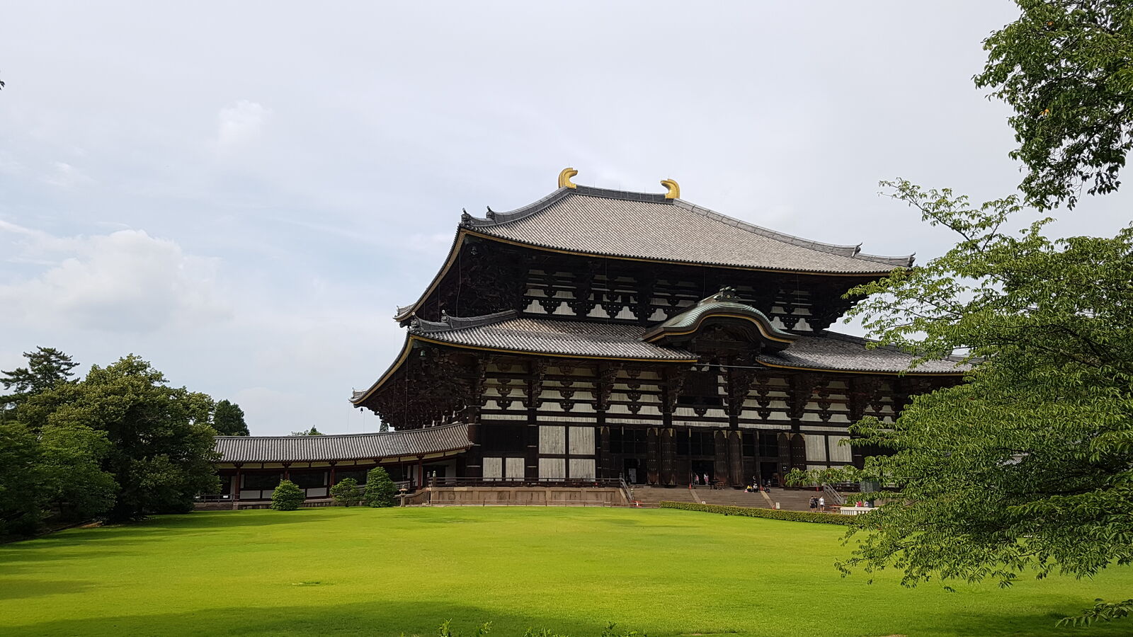 Todai-ji's Daibutsuden, the Great Buddha Hall, seen from across its vast green lawn, the massive wooden structure dwarfing the surrounding trees under an overcast summer sky