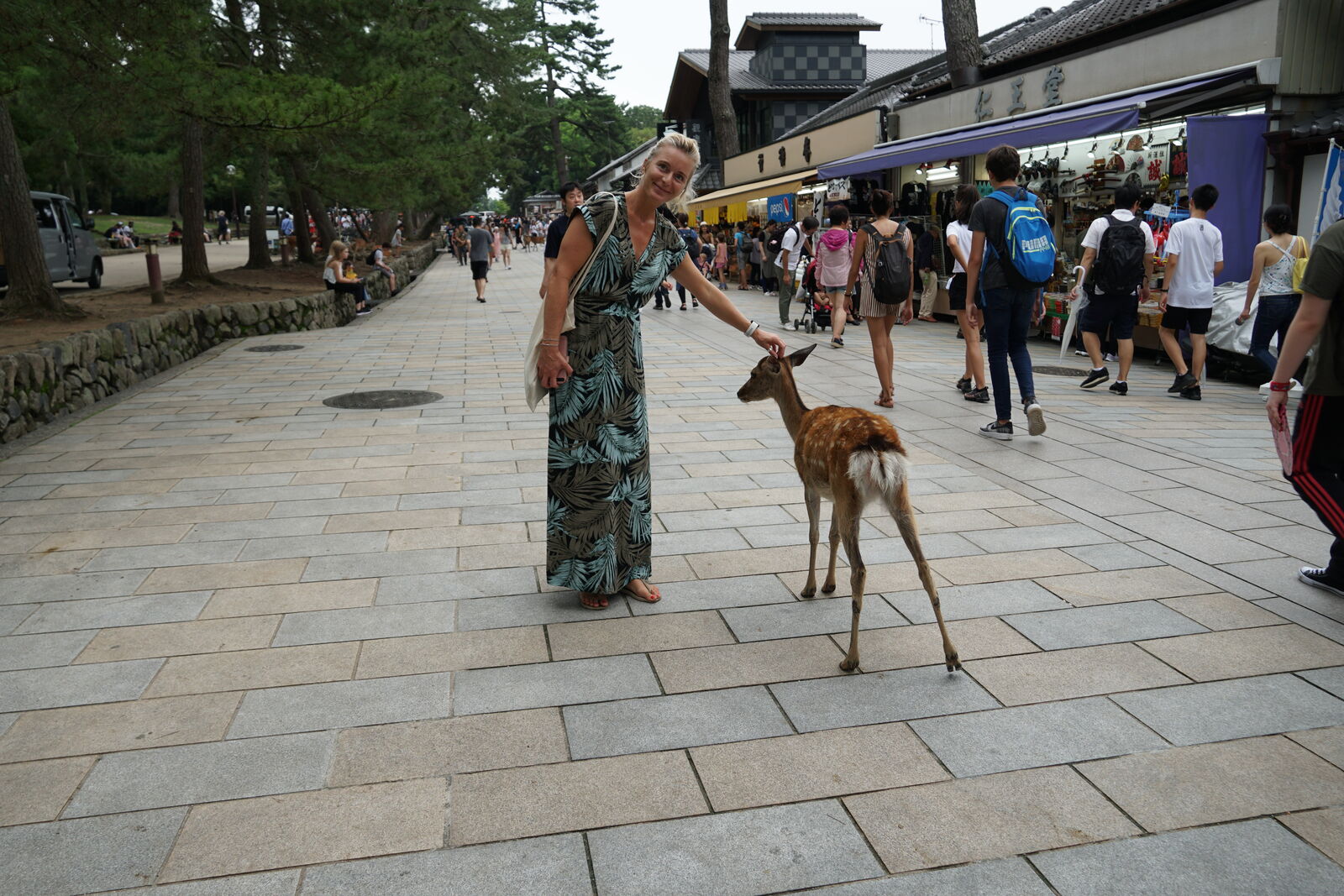 A woman in a green dress petting a deer on the busy shopping street leading to Nara Park, tourists passing by on both sides