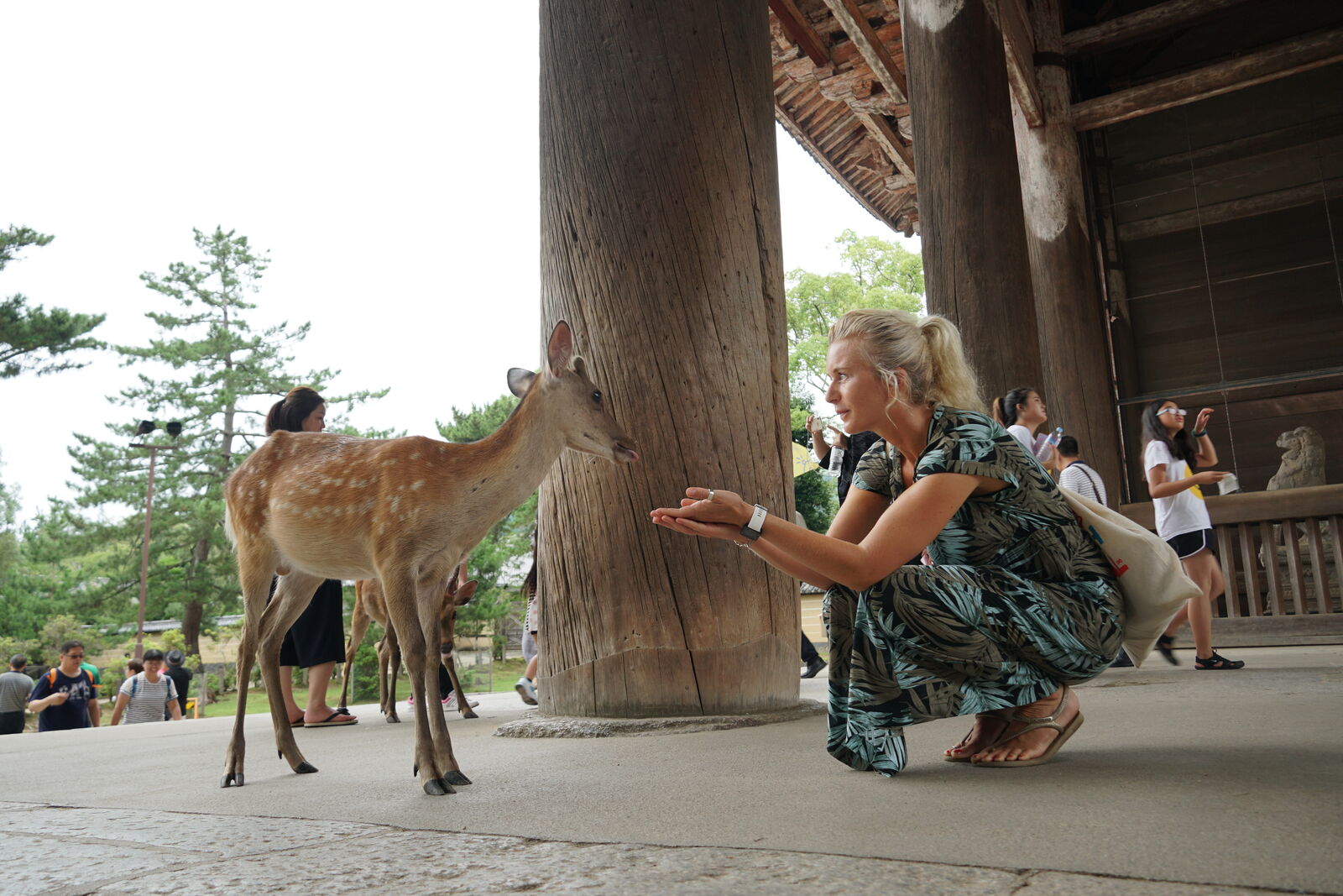 A woman crouching beneath the massive wooden pillars of the Nandaimon gate, reaching out to feed a young deer that approaches cautiously, the scale of the ancient gate dwarfing them both
