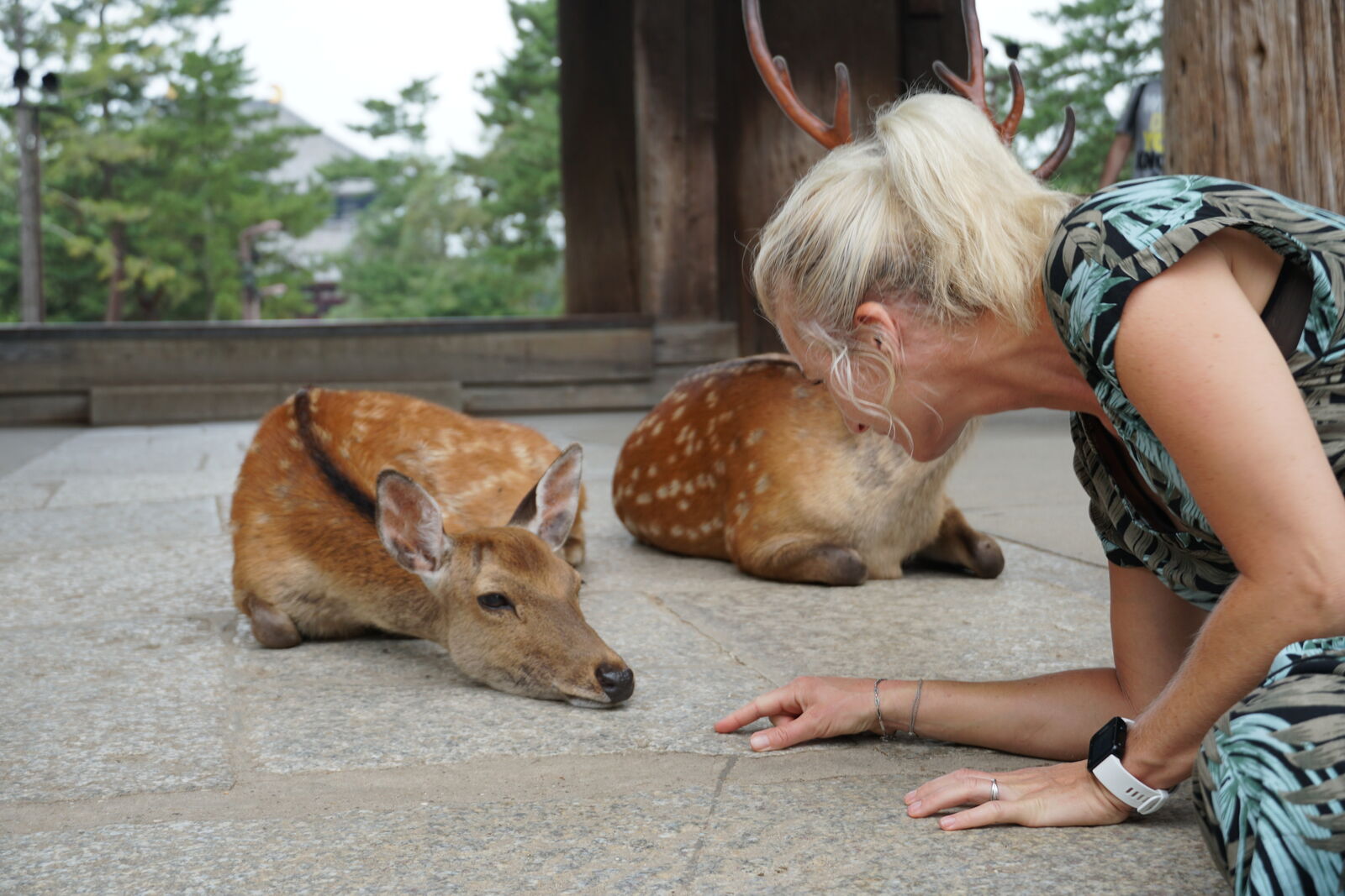 A woman getting down to eye level with a resting deer and fawn on the stone platform, a tender moment of quiet connection between human and animal