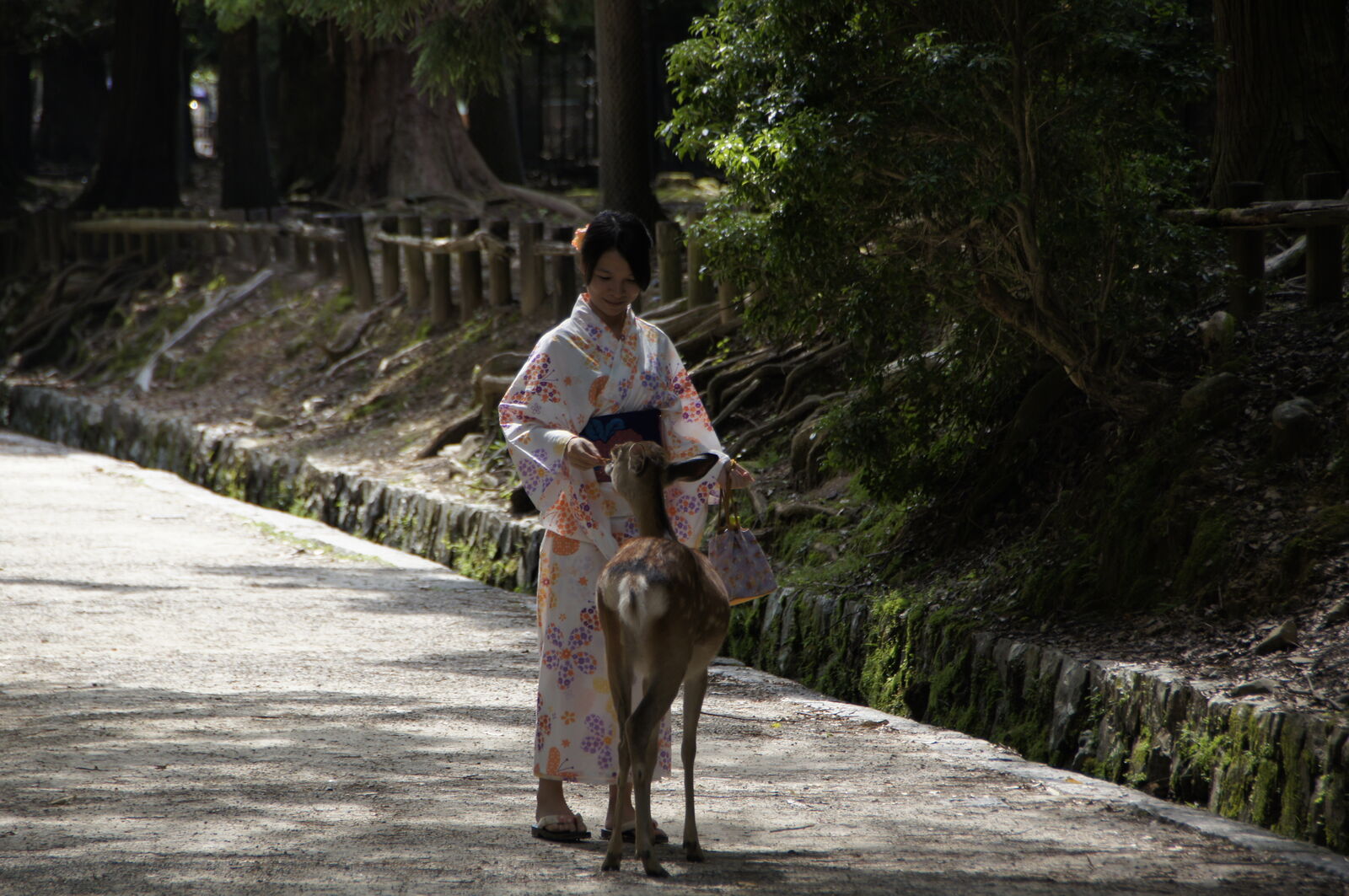 A woman in a floral kimono feeding a deer on a quiet forest path, the scene framed by ancient trees and mossy stone walls