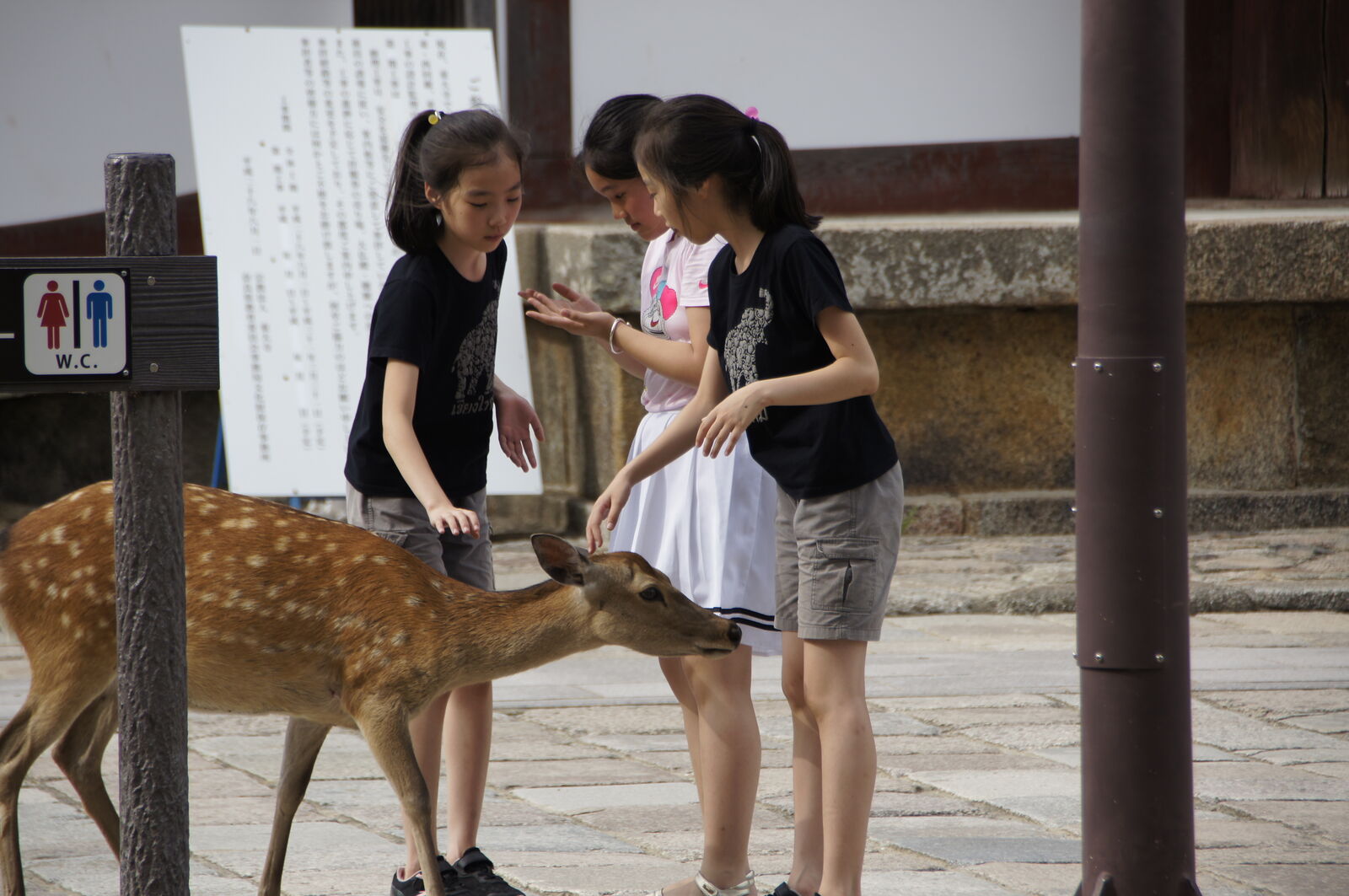 Three girls gently petting a deer near a temple building, the deer standing patiently as they reach out to touch its back