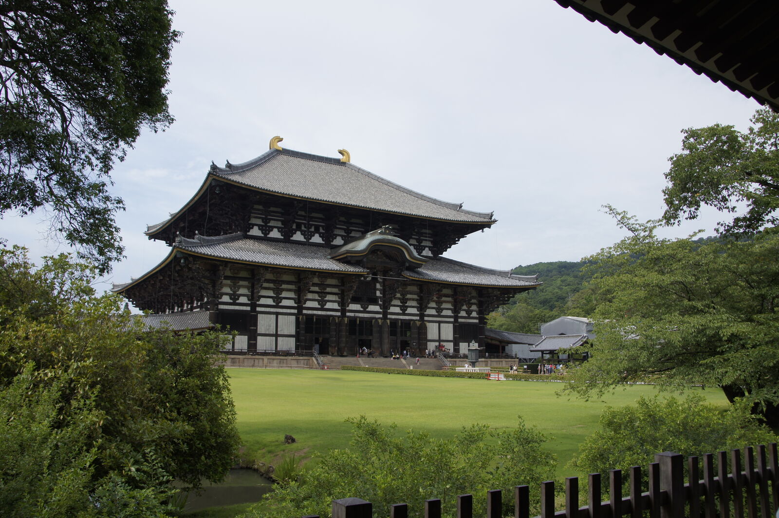 Todai-ji partially hidden behind trees and greenery, the golden roof ornaments visible above the foliage, misty hills rising behind