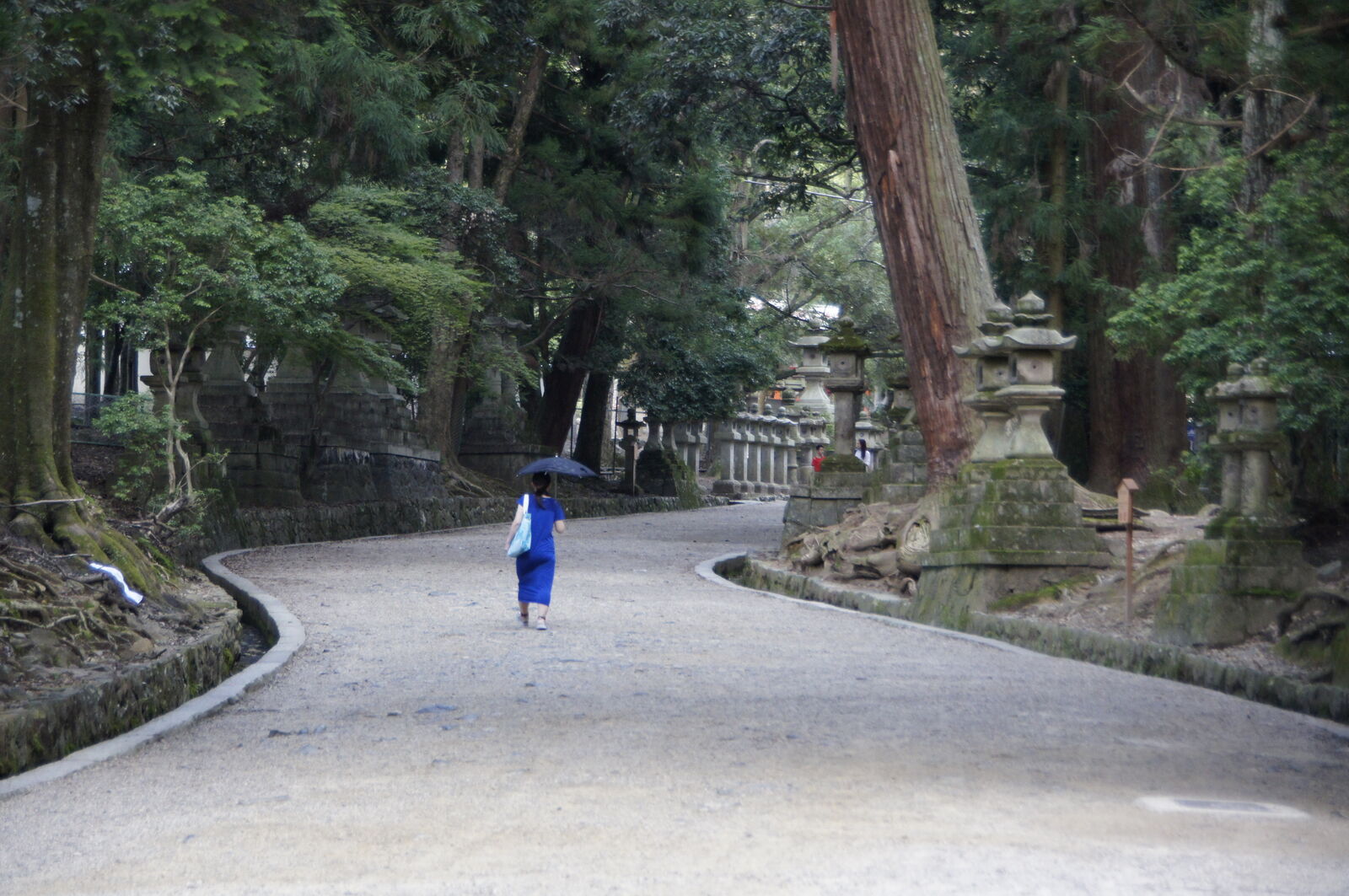 A woman in blue walking alone with an umbrella through a curving forest path lined with stone lanterns, the atmospheric light and empty path creating a feeling of timeless solitude