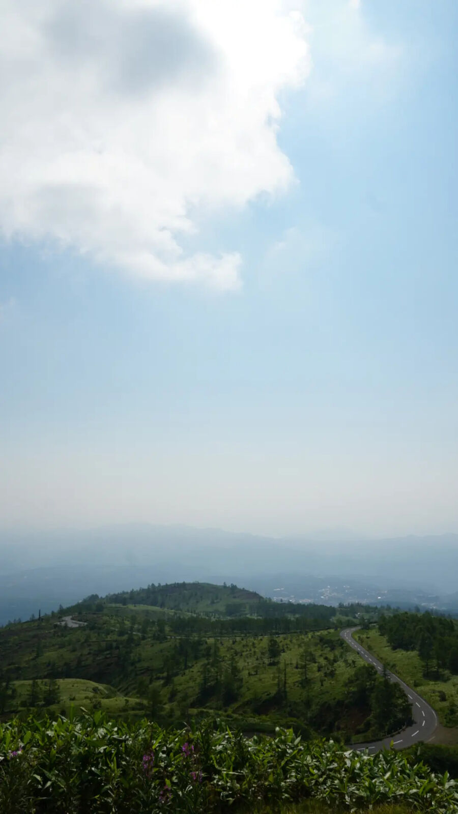 Panoramic view from the summit showing Route 292 descending through alpine landscape with sparse trees and hazy valleys