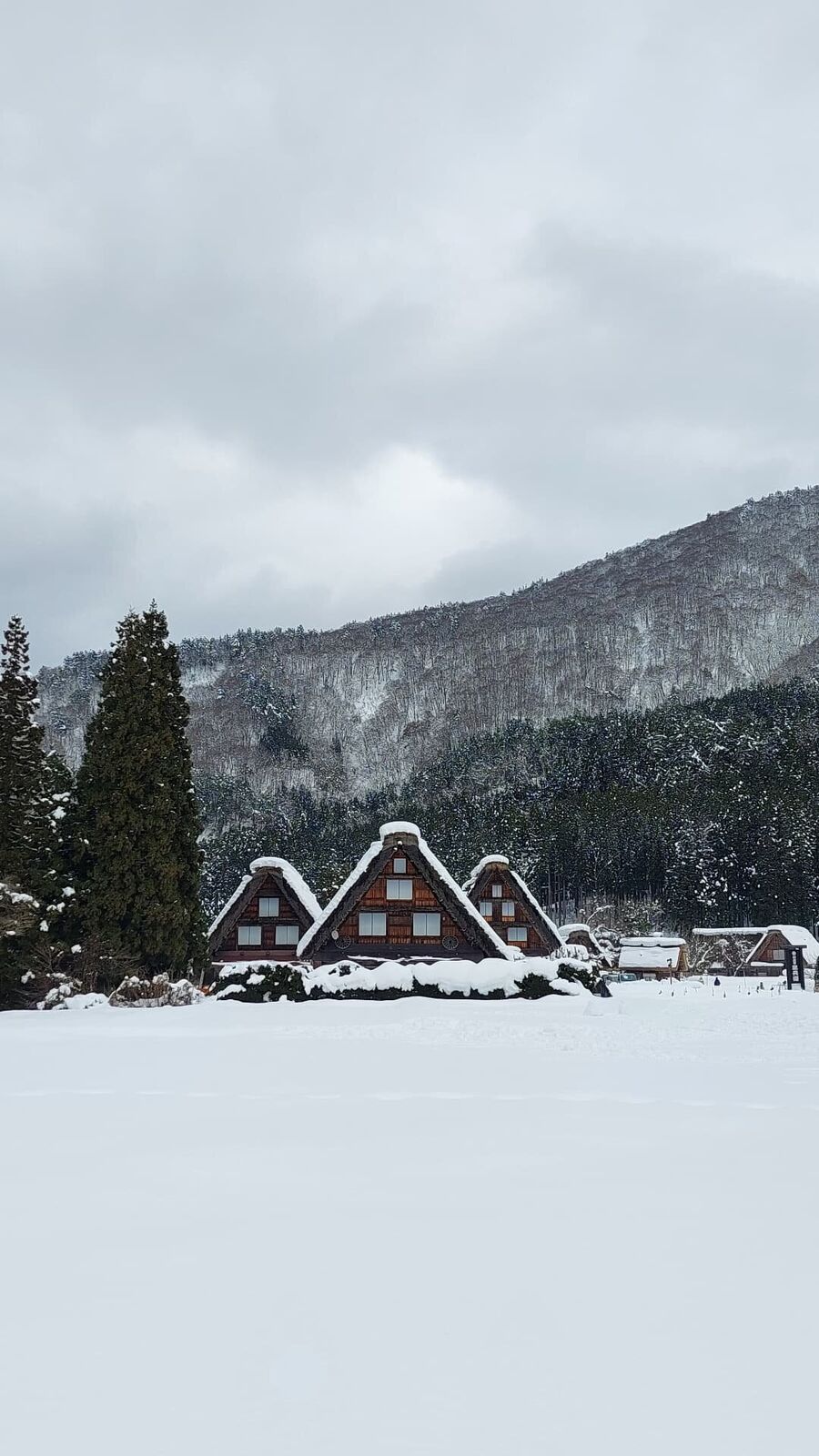 Three Gassho houses seen from across the snow field with a single cedar tree, mountains rising behind the village