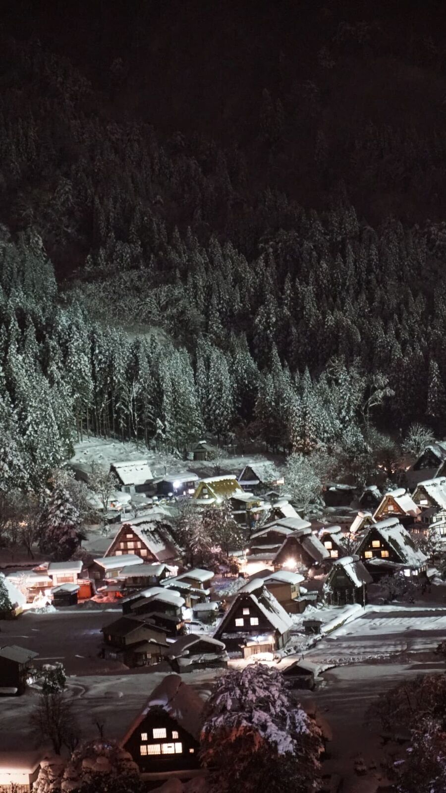 Panoramic night view from the Shiroyama viewpoint, snow-covered village glowing with warm window lights