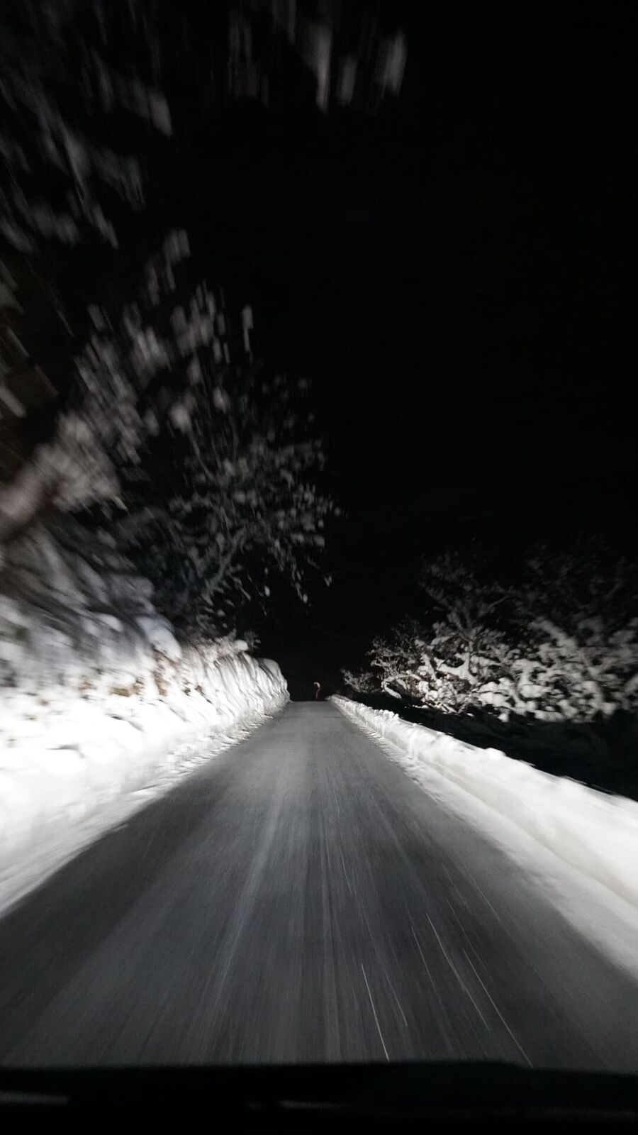 Snow-covered road through Shirakawa-go at night, streetlights casting warm glow on Gassho house silhouettes