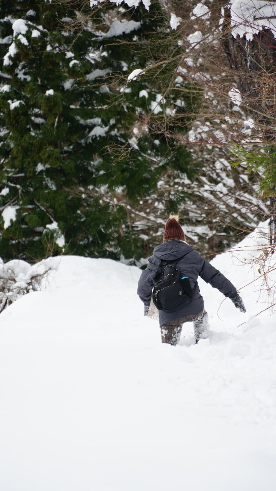 A person from behind trudging through waist-deep snow toward cedar trees, showing the sheer depth of winter accumulation