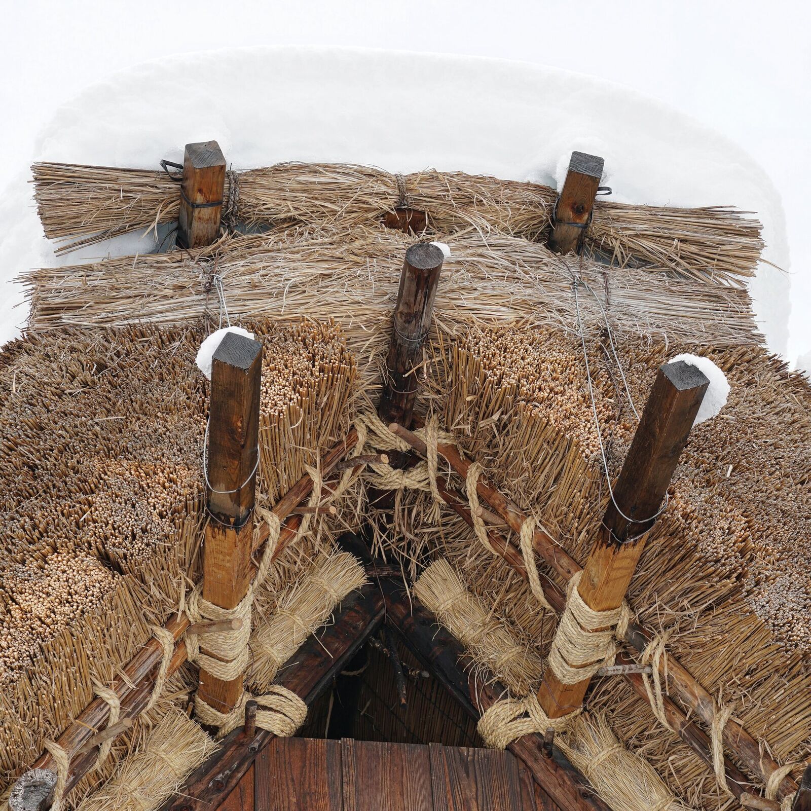Extreme close-up of a Gassho roof ridge from above showing wooden pegs bound with rope, straw bundles, and snow at the peak