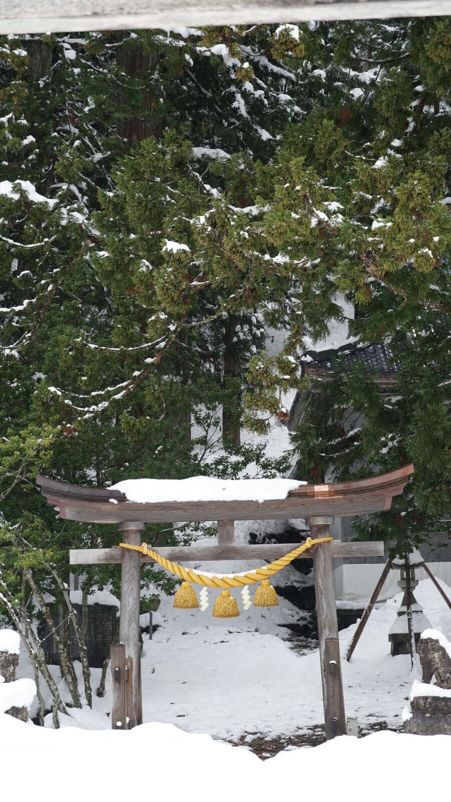 Stone torii gate wrapped in shimenawa rope with thick snow on top and cedar trees behind