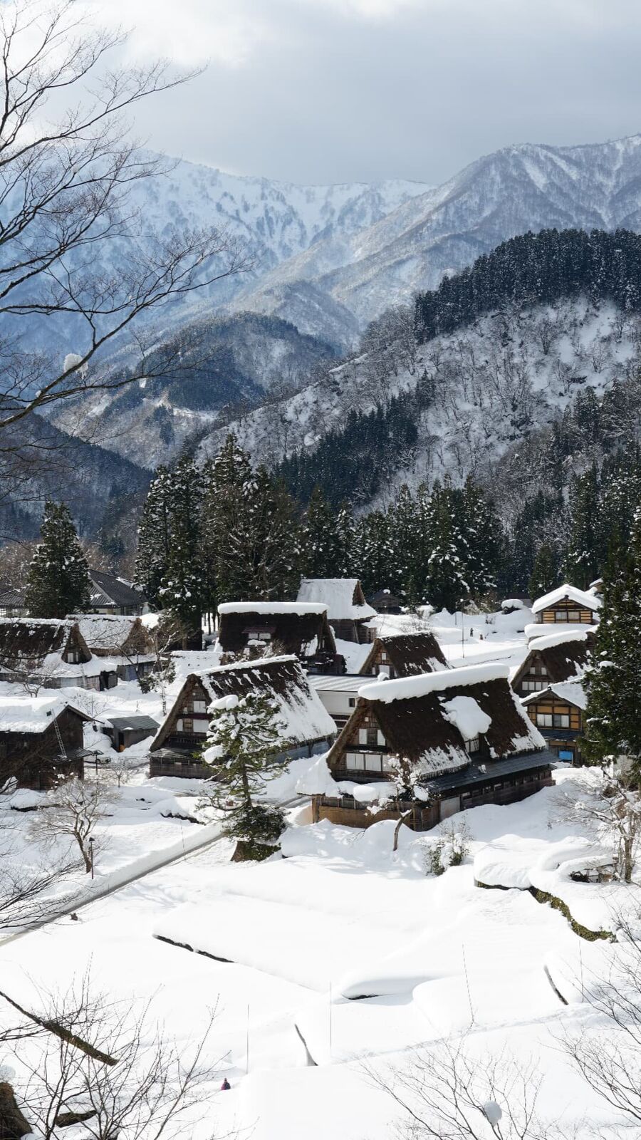 Panoramic view from the Shiroyama viewpoint: the entire village of snow-covered Gassho houses spread across the valley with layered mountains behind