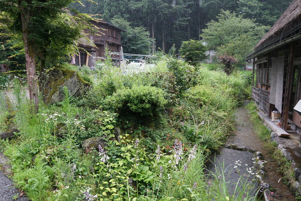 Overgrown garden with wildflowers between traditional houses, showing the lived-in character of the village