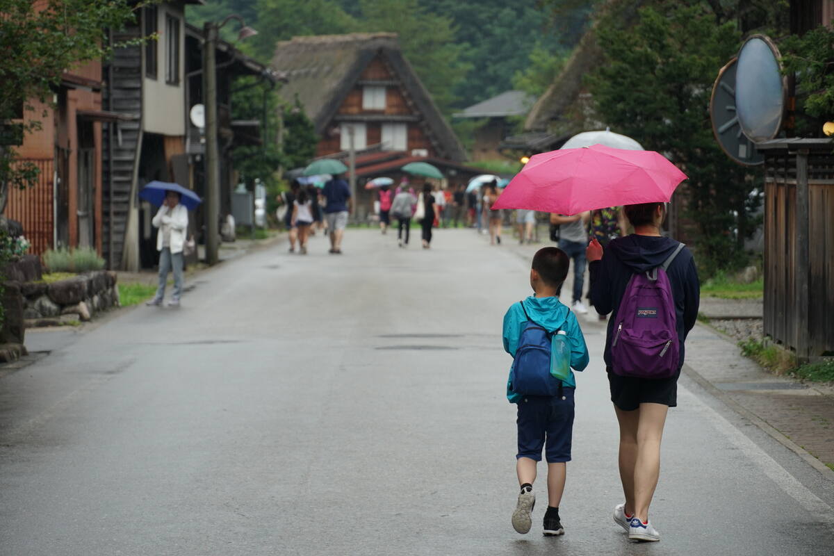 Multiple Gassho-zukuri houses arranged on a terraced hillside with shadows creating depth across the landscape