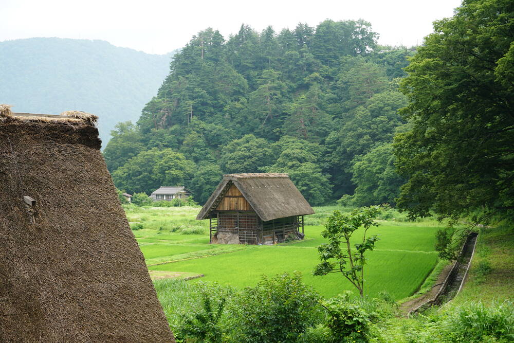 View past a thatched roof edge across green rice paddies to a Gassho house with forested mountains behind