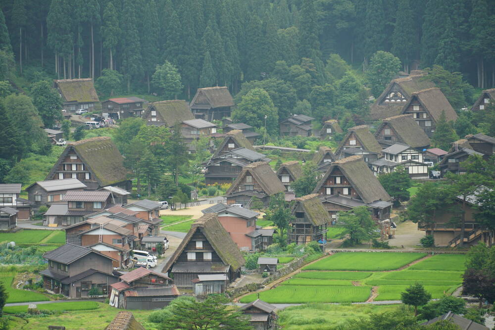 Panoramic view from the Shiroyama viewpoint: dozens of Gassho-zukuri houses spread across the valley with rice paddies and misty cedar forest