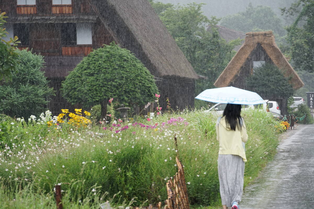 Wide perspective of the entire Shirakawa-go valley from above, showing the full expanse of houses, rice paddies, and surrounding forested mountains
