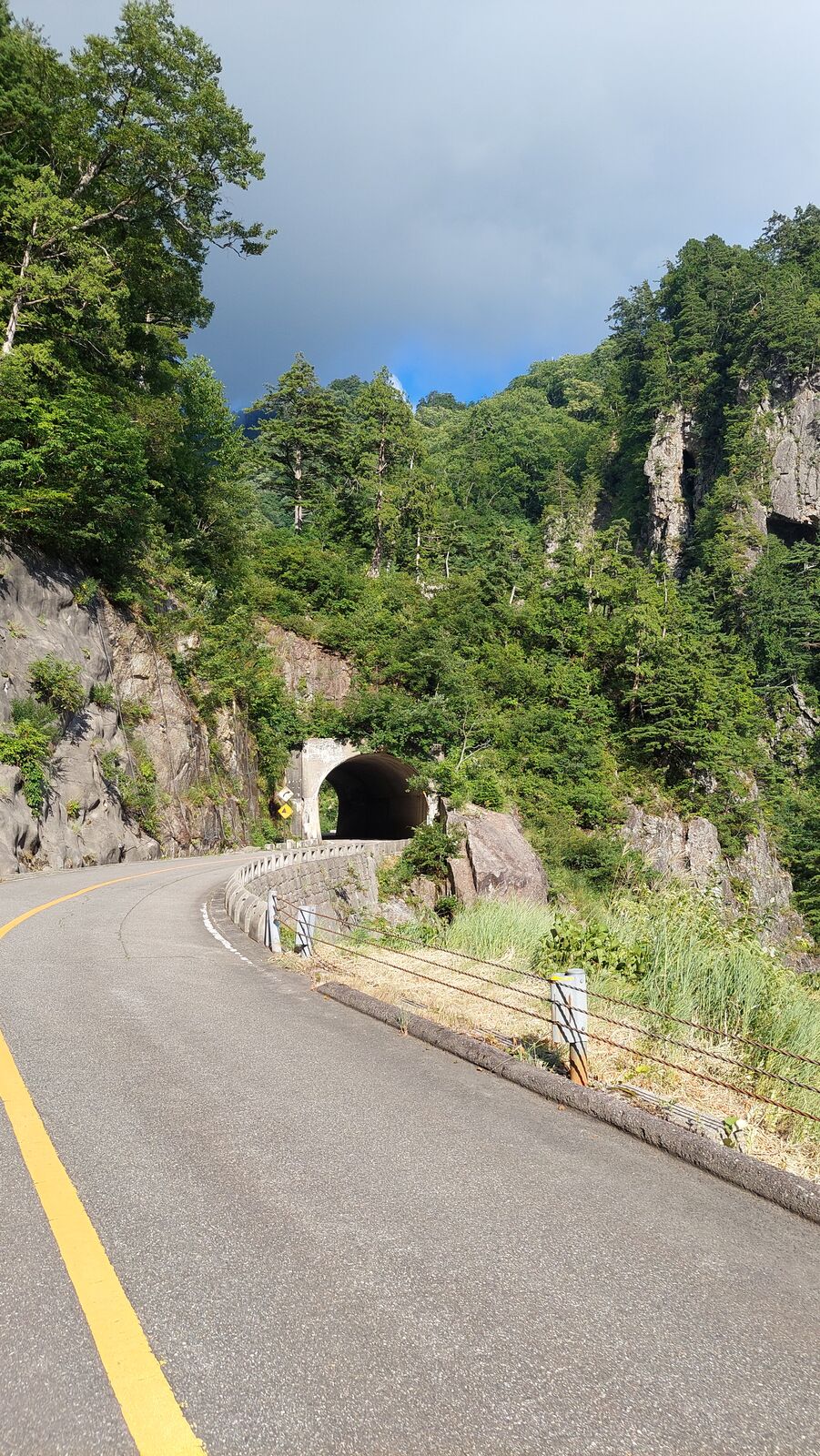 Road approaching a tunnel with the deep valley visible to one side, guardrails and green forest